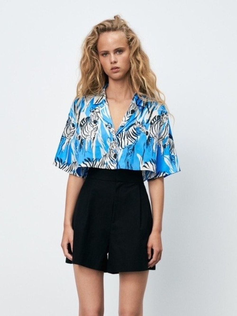 Zara Blue and Black Zebra-Print Cropped Button Top